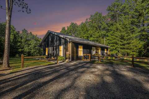 22032 Pine Valley Drive, Tustin, MI 49688