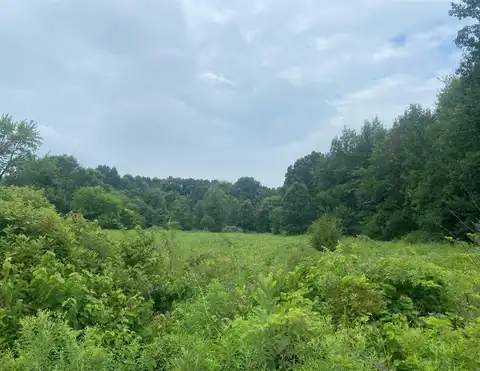 52700 Parkville Road, Three Rivers, MI 49093