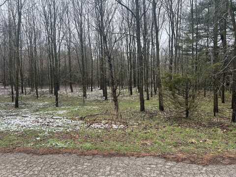 Drew St Street, Paw Paw, MI 49079