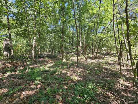 65 Acres Plainview Road, Anderson, MO 64831