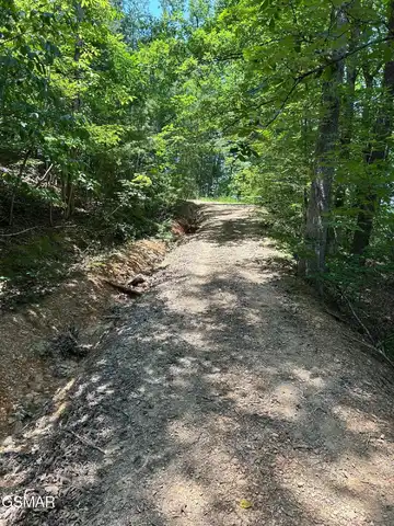 0 Henderson Springs Road, Pigeon Forge, TN 37863
