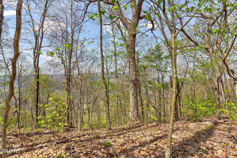 Lot 125e Settlers View Lane, Sevierville, TN 37862