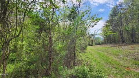 Lot 36 ENGLISH FIELDS DR, Newport, TN 37821