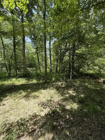 0 Loraine Street, Pigeon Forge, TN 37863