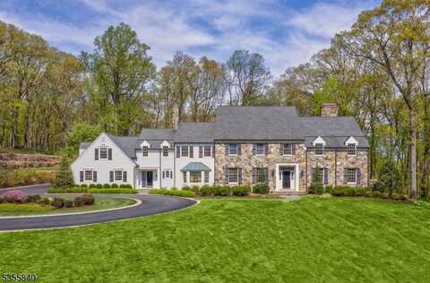 undefined, Bernardsville, NJ 07924
