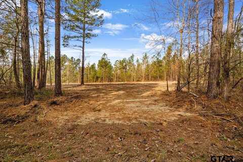 19140 County Road 2154 Lot 5, Troup, TX 75789
