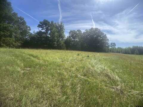 9.695 AC CR 4426, Winnsboro, TX 75494