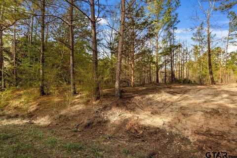19210 County Road 2154 Lot 3, Troup, TX 75789