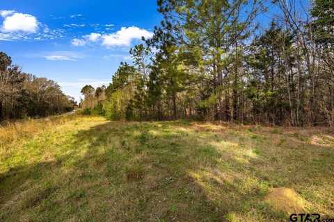 19427 County Road 2153 Lot 2, Troup, TX 75789