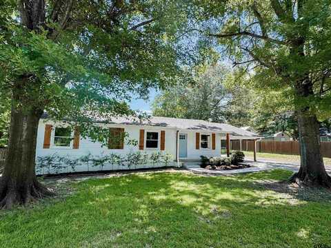 203 S Meadowbrook Drive, Overton, TX 75684