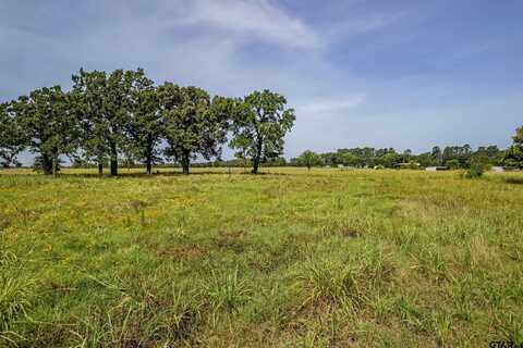 Lot 1 VZ County Road 1516, Van, TX 75790