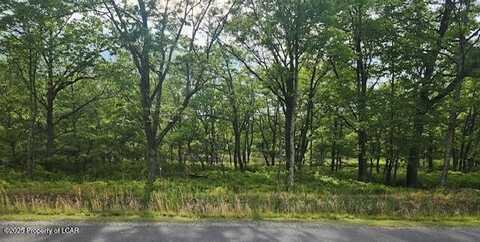 424 Wild Ginger Way, Hazle Twp, PA 18202