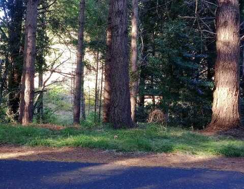 640 Spring Road, Whitethorn, CA 95589