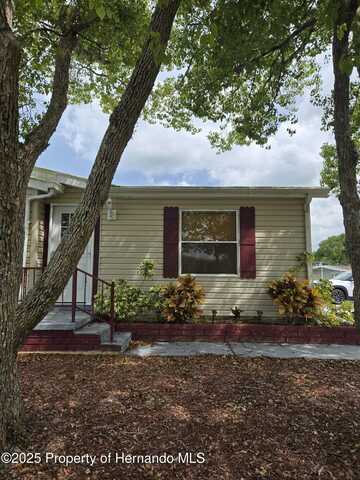 15141 Rialto Avenue, Brooksville, FL 34613