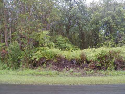 PIKAKE ST, Mountain View, HI 96771