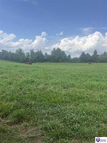 Tract 1 Loretto Road, Bardstown, KY 40004