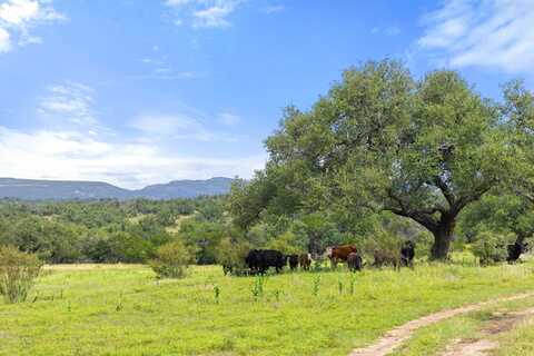 9069-47 Ranch Road 1323, Fredericksburg, TX 78624