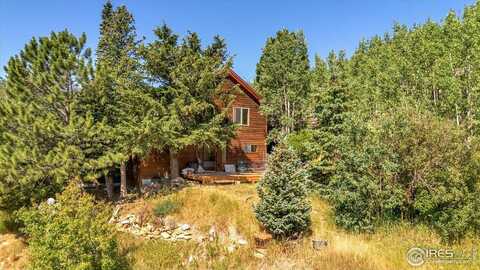 57 Nelson St, Ward, CO 80481
