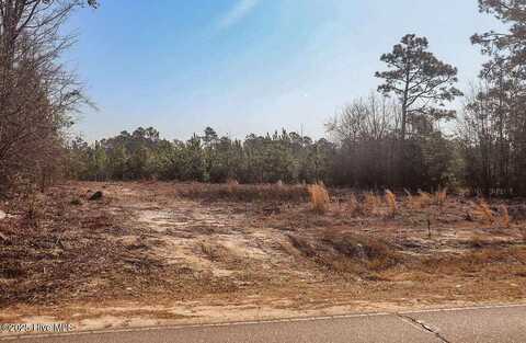 12001 Purcell Road, Laurinburg, NC 28352