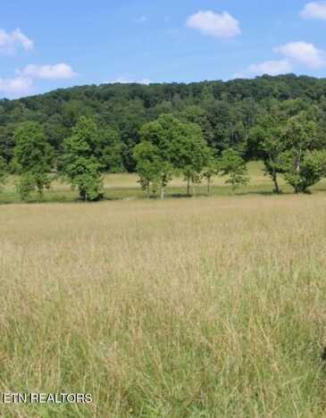 1361 Paint Rock Valley Rd, Philadelphia, TN 37846