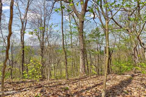 Lot 125e Settlers View Lane, Sevierville, TN 37862
