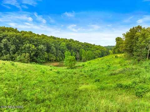 515 W Turner Ridge Rd Rd, Newport, TN 37821
