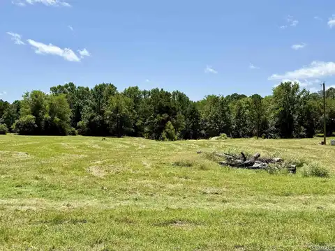 134 Collins Creek Rd, Hallsville, TX 75650