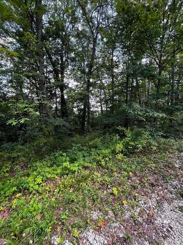0 Lot 80 Ivy Lane, Wellington, KY 40387