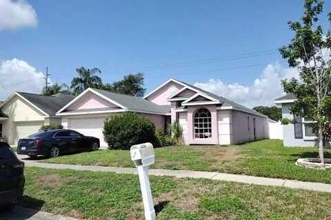 Manassas, TAMPA, FL 33635