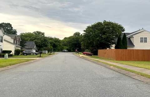 Blue Sage, SIMPSONVILLE, SC 29680