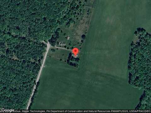 Cottontail, LONG POND, PA 18334