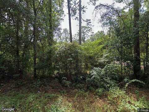Pine Tree, TALLAHASSEE, FL 32305