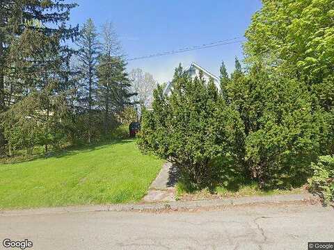 Ukrainian Hill, JOHNSON CITY, NY 13790