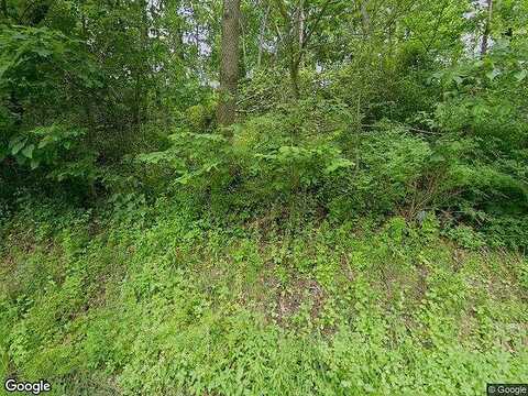 Maple, VANDERGRIFT, PA 15690