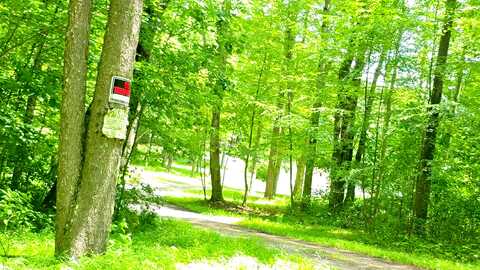 Harmony Grove, ALBRIGHT, WV 26519