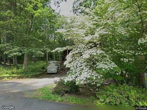 Lilac, EAST STROUDSBURG, PA 18301