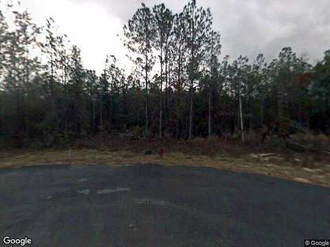Canvas Back, CRAWFORDVILLE, FL 32327