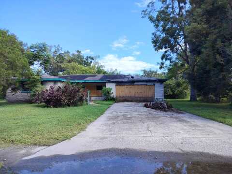 Ball, PLANT CITY, FL 33563