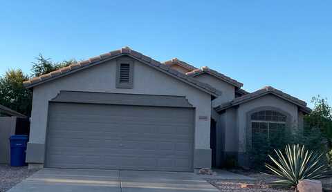 Maui, SURPRISE, AZ 85379