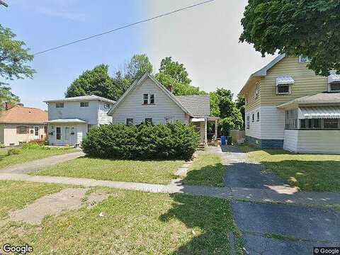 Curlew, ROCHESTER, NY 14613