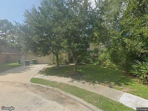 Cozy Hollow, HOUSTON, TX 77044