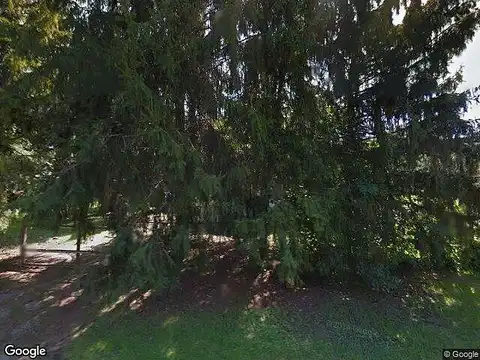 Birdie, BENTON HARBOR, MI 49022