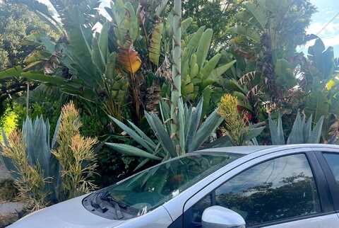 San Andres, SANTA BARBARA, CA 93101