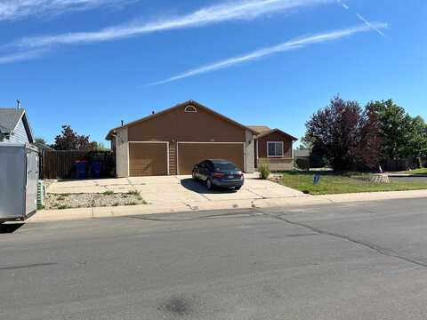 Lilac, MILLIKEN, CO 80543