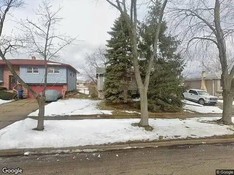 Narcissus, HANOVER PARK, IL 60133