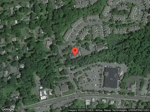 Spruce Tree, RANDOLPH, NJ 07869