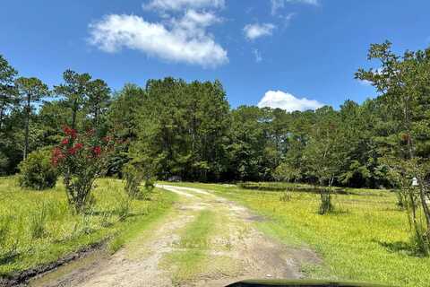Copperhead, LONGWOOD, NC 28452