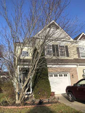 Meadow, MAYS LANDING, NJ 08330