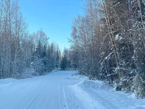 Sunflower, NORTH POLE, AK 99705