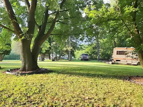 Tamarack, LAKE ODESSA, MI 48849